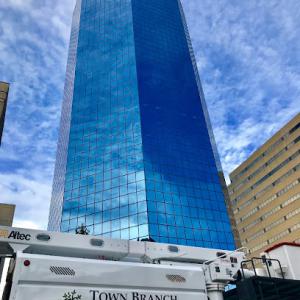 Bartlett Tree Experts