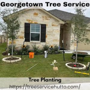 Georgetown Tree Service