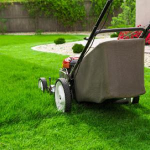 Gonzalez Tree Service