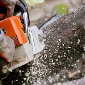 Tree KO Tree Service