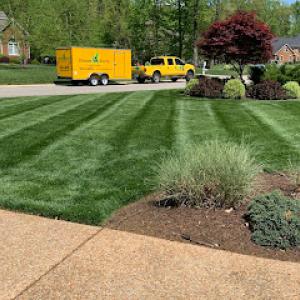 Grade A Cuts Lawn & Tree Service