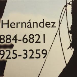 A Tree Monkey Tree Service