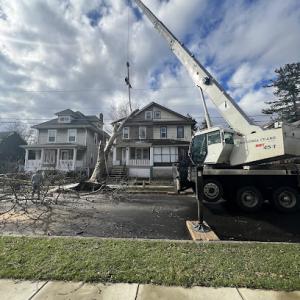 Prestige Tree Service