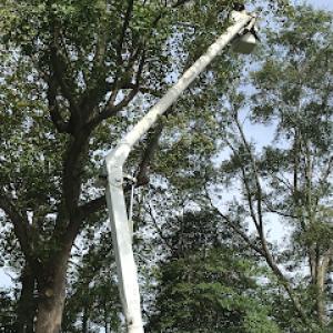 Green Paradise Landscaping & Tree Service