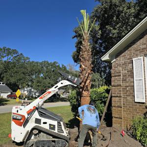 Ramirez Tree Service & Landscaping
