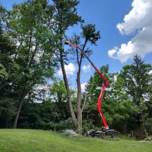 Dave Koresko Landscaping