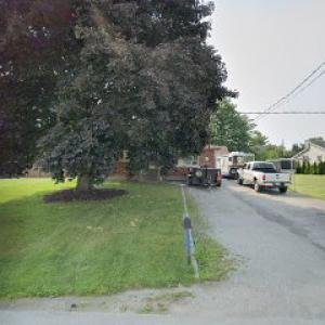 Regent's Tree Stump Service