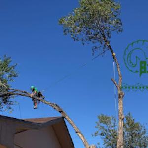 Big Horn Tree Service