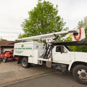 A Cut Above Tree Service