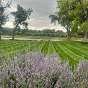 Greenleaf Landscape Management, Lawn & Fertilizer & Trees & Snow Removal