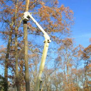 Price's Excavating & Tree Service