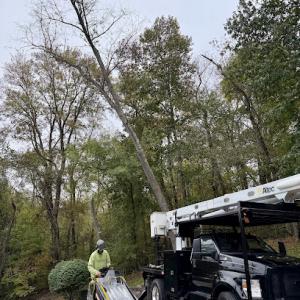 ArborView Tree Service