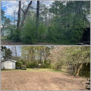 Buckhout Inc. Tree Service & Landscaping