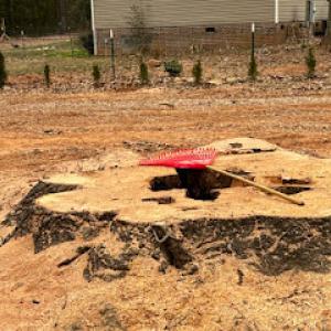 BRIGHT’S CAROLINA TREE SERVICE