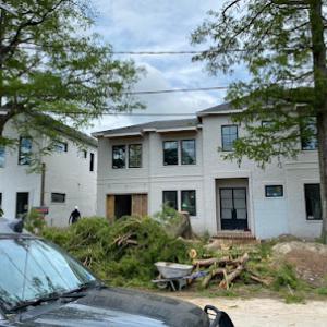 Discount One Tree Cutting & Stump Removal