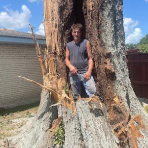 Kevin’s Tree Service