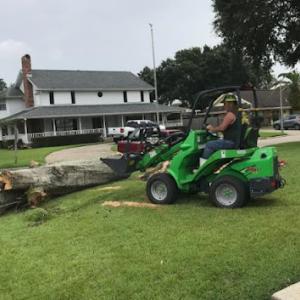David's Tree & Stump Services