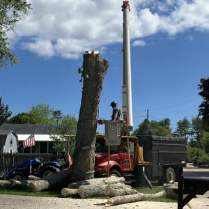 AFFORDABLE TREE LLC - Mystic, CT formerly Affordable Tree Service