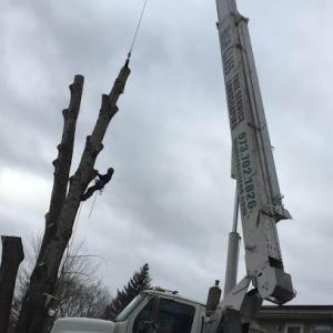 High Class Tree Service
