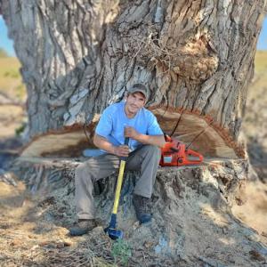 Neale's Family Tree Services