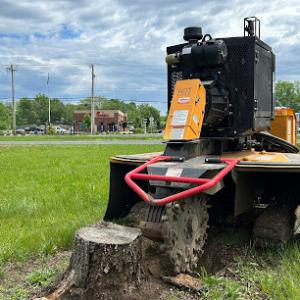 Kruse Stump Grinding