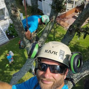 Groom & Bloom Tree Experts