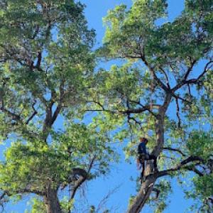 Cascade Land Management