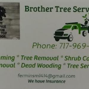 Brother Tree Services