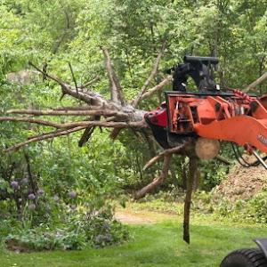 Dudek Tree Service