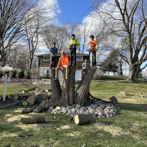 NorthWind Arbor Tree Services
