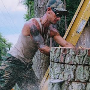 David's Tree Professionals