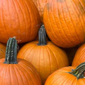 By The RoadSide Premium FireWood