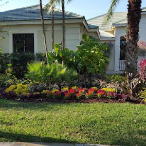 Elegance Landscaping