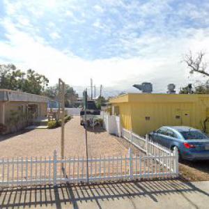 Palm Harbor Tree Service