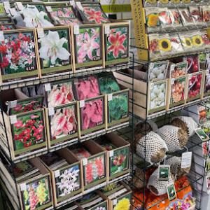 Windridge Perennials & Landscaping