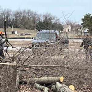 Top Cut Tree Service