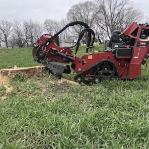 B & B Stump Grinding