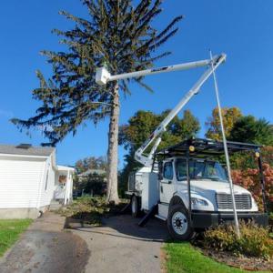 4 Seasons Tree Service