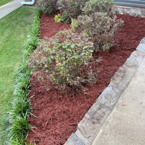 Vasquez Lawn & Tree Service