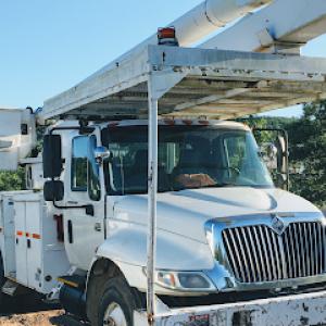 Monkey's Tree Service