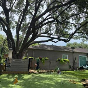 Brother's Tree Service