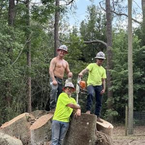 All American Tree Services