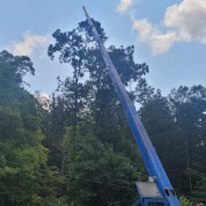 Mayo Family Tree Service