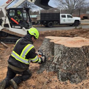 Brothers Tree Service NC