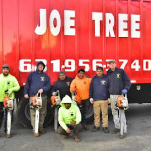 Joe Tree, Tree Service