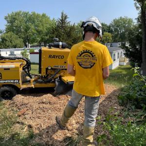 Bevans Stump Grinding