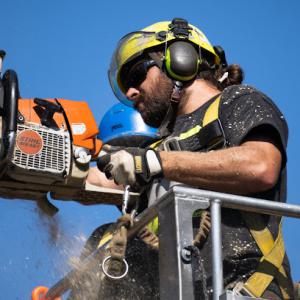 Rain City Tree Works