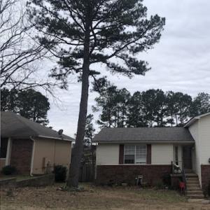 JLM Tree Servicing & Roofing