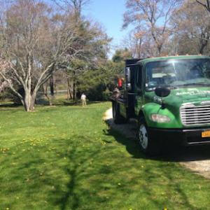 Jolly Green Tree & Shrub Care