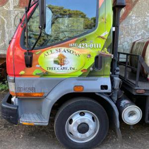 All Seasons Tree Care